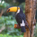 Decorative toucan wall light for garden and walkway
