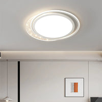 Modern decorative starry sky LED ceiling light for indoor use
