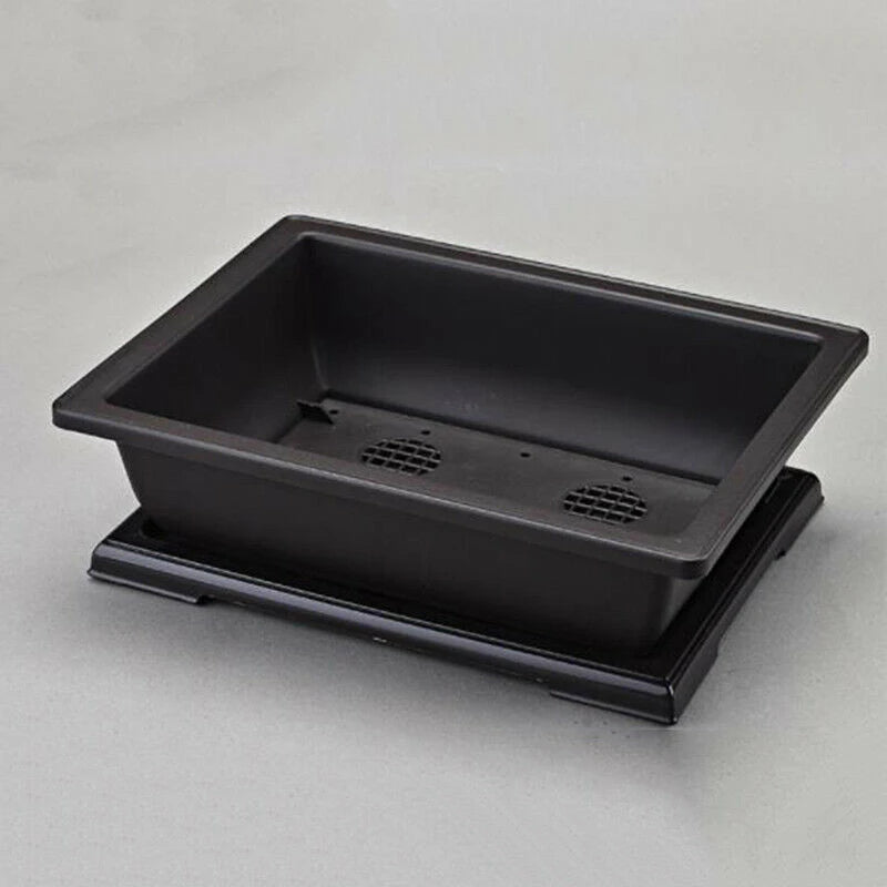 Rectangular plastic flower pot for bonsai and garden - vue 3 sur 6