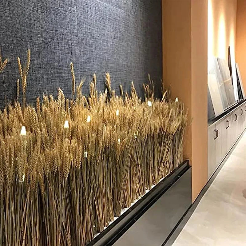 natural dried wheat stalks for party decoration and bouquet