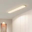 Modern ceiling light for stylish interior decor