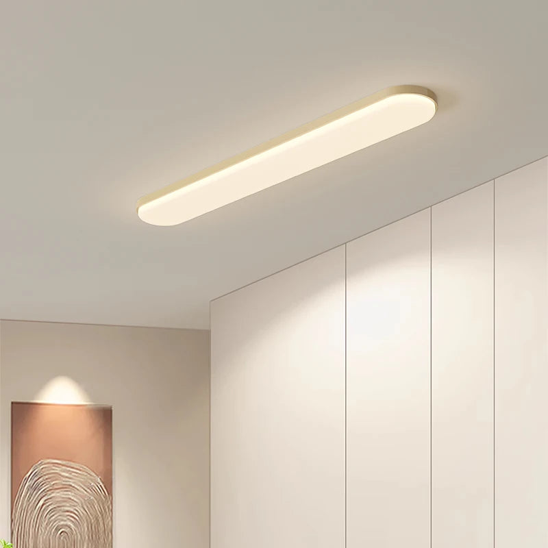 Modern ceiling light for stylish interior decor