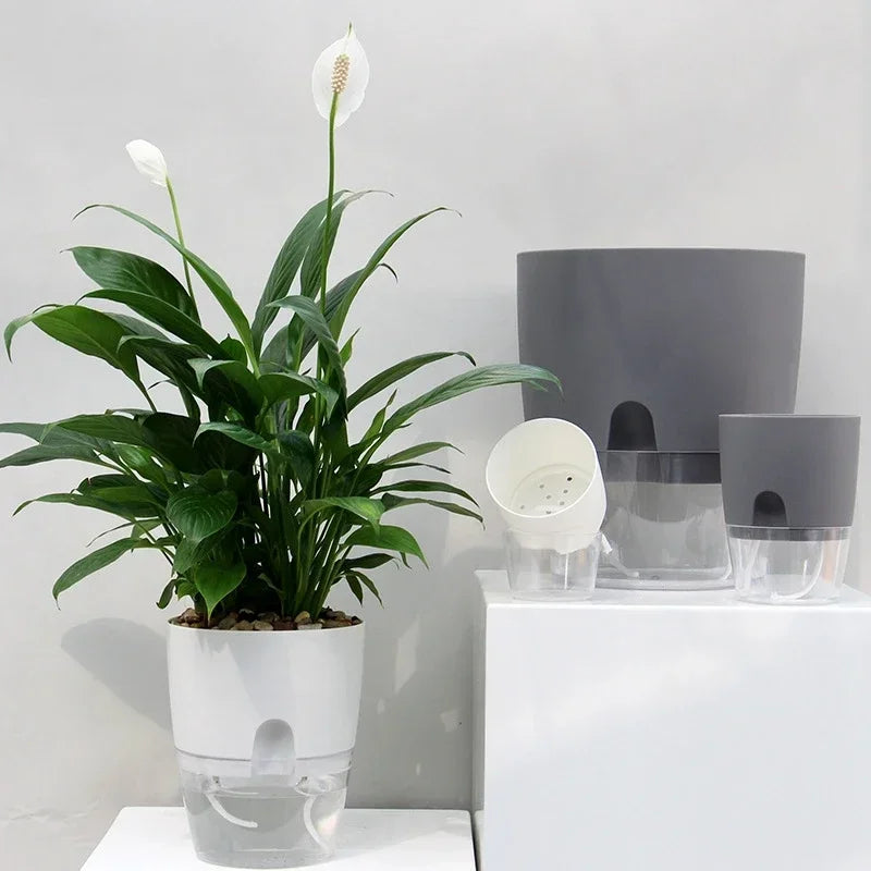 Self-watering plastic flower pot for succulents