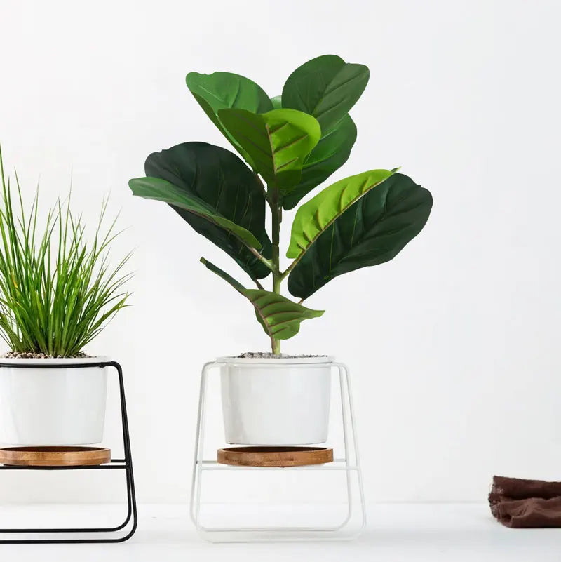 Artificial ficus banyan plants for indoor and outdoor decoration