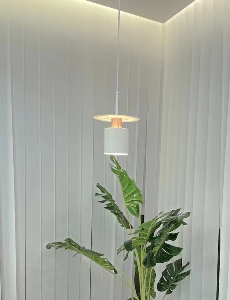 Modern decorative iron LED pendant light