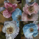 Artificial poppy flower for party and garden decoration