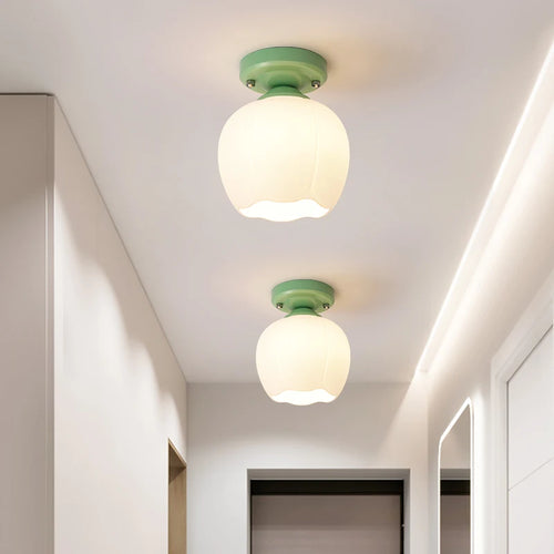 Decorative nordic style surface mount glass LED ceiling light - vue 4 sur 13