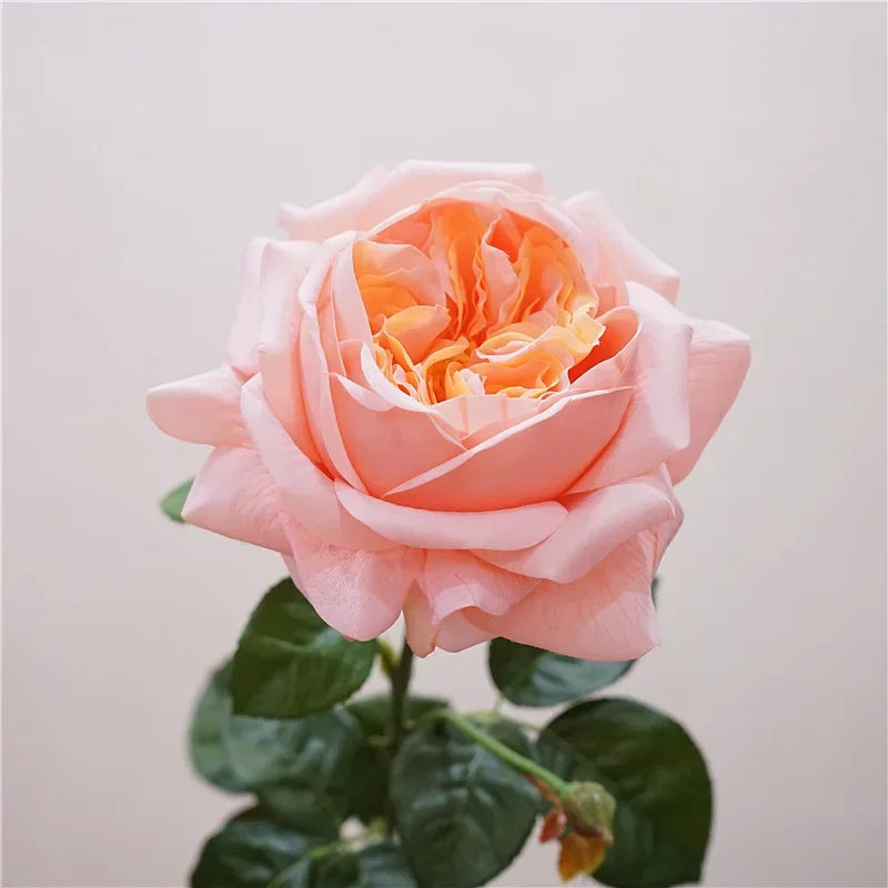 Artificial rose branch for a romantic and decorative gift