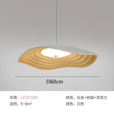 Creative Nordic resin pendant light for indoor decor - vue 12 sur 15
