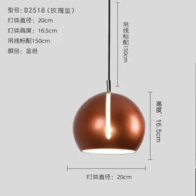 Modern Nordic iron pendant light for interiors - vue 10 sur 11