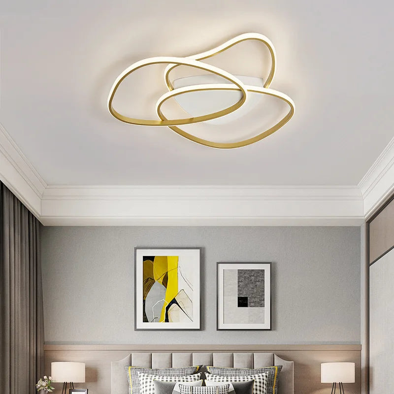 Modern creative LED ceiling light for decorative interiors