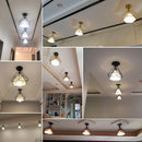 Retro industrial LED ceiling light with metal cage vintage fixture
