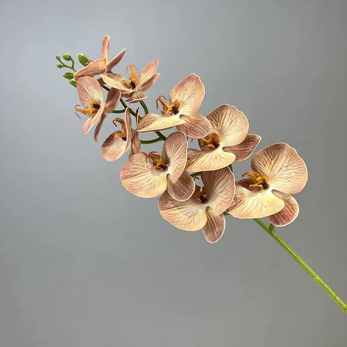 Decorative artificial butterfly orchid flowers in cotton and silicone