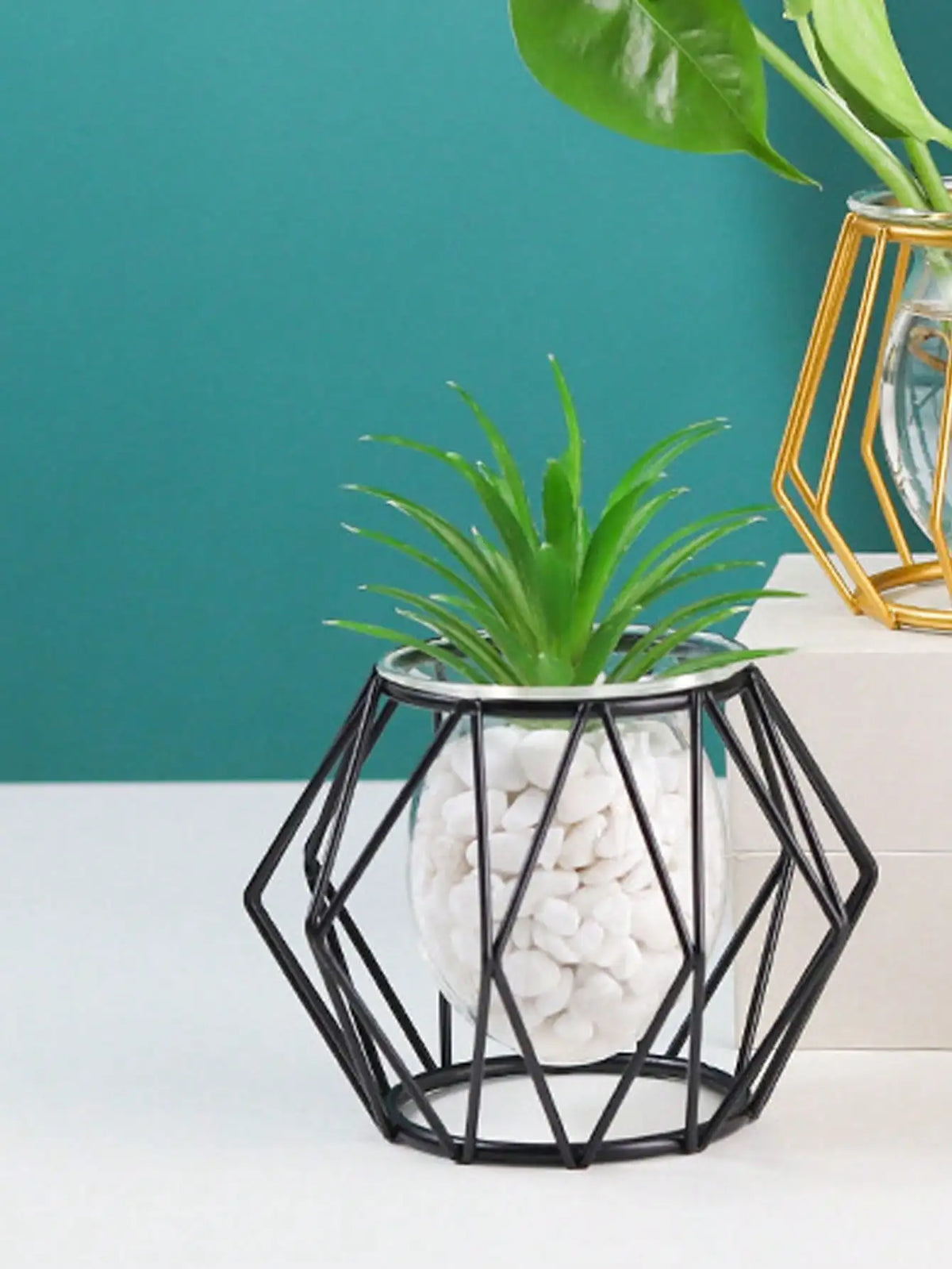 transparent flower arrangement for interior decoration with water plants