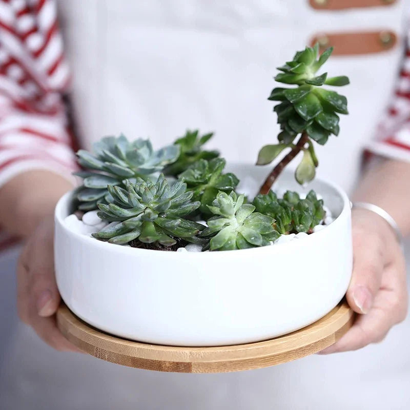 ceramic succulent pot with bamboo tray