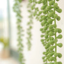 Decorative artificial succulent plants in rattan for hanging garden