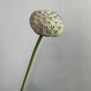 Artificial lotus plant real touch floral decoration for interiors
