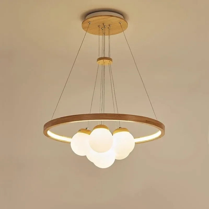 Modern glass globe LED pendant ceiling light