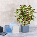 Artificial eucalyptus tropical plant for indoor decoration