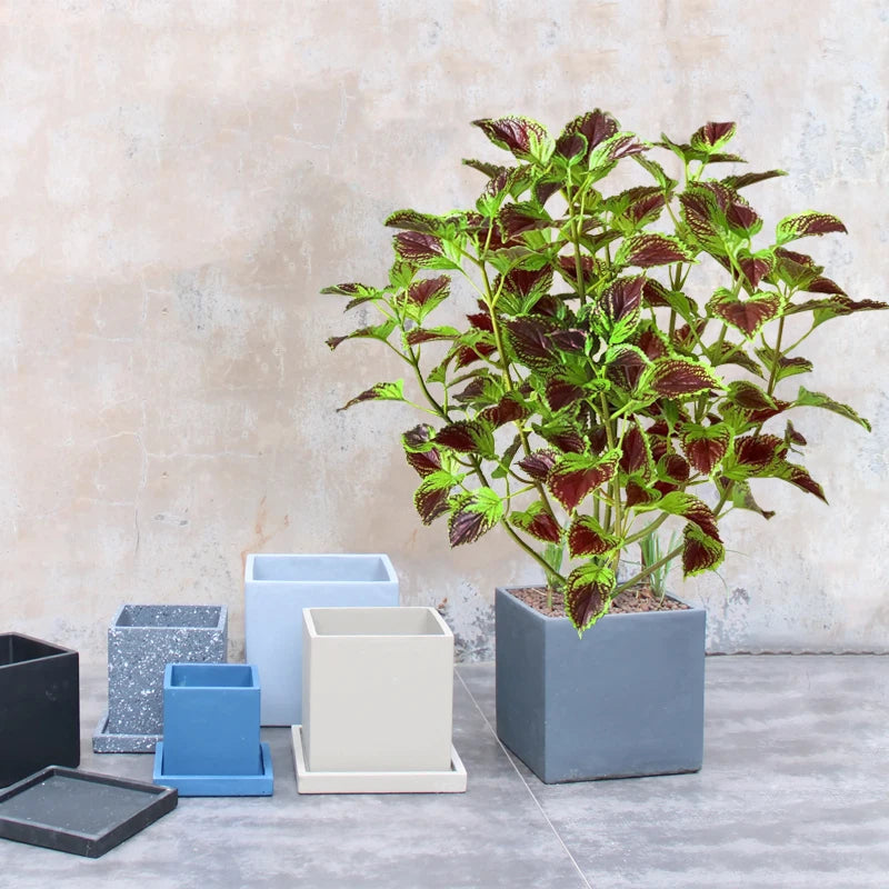 Artificial eucalyptus tropical plant for indoor decoration - vue 3 sur 8