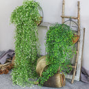 Rattan wall decoration with leaves and golden bell