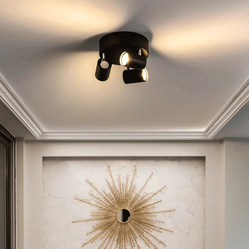 Replaceable LED track spotlight for indoor lighting
