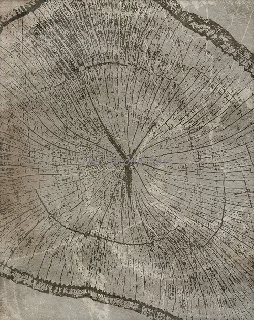 Abstract tree ring wall art posters for decoration