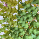 Artificial fern leaves for festive decoration, set of 14