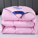 Noble100% Goose Down Duvet Filled Quilt, Single, Double Size Comforter, Thick Blanket, Monochromatic, Perfect Comfort, Winter
