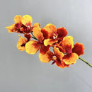 Set of 2 artificial vanda orchids for indoor decoration