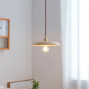 Nordic modern wooden and brass LED pendant light