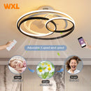 Nordic ceiling light with LED lights and remote control