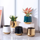 gold ceramic flower pot for modern interior decoration
