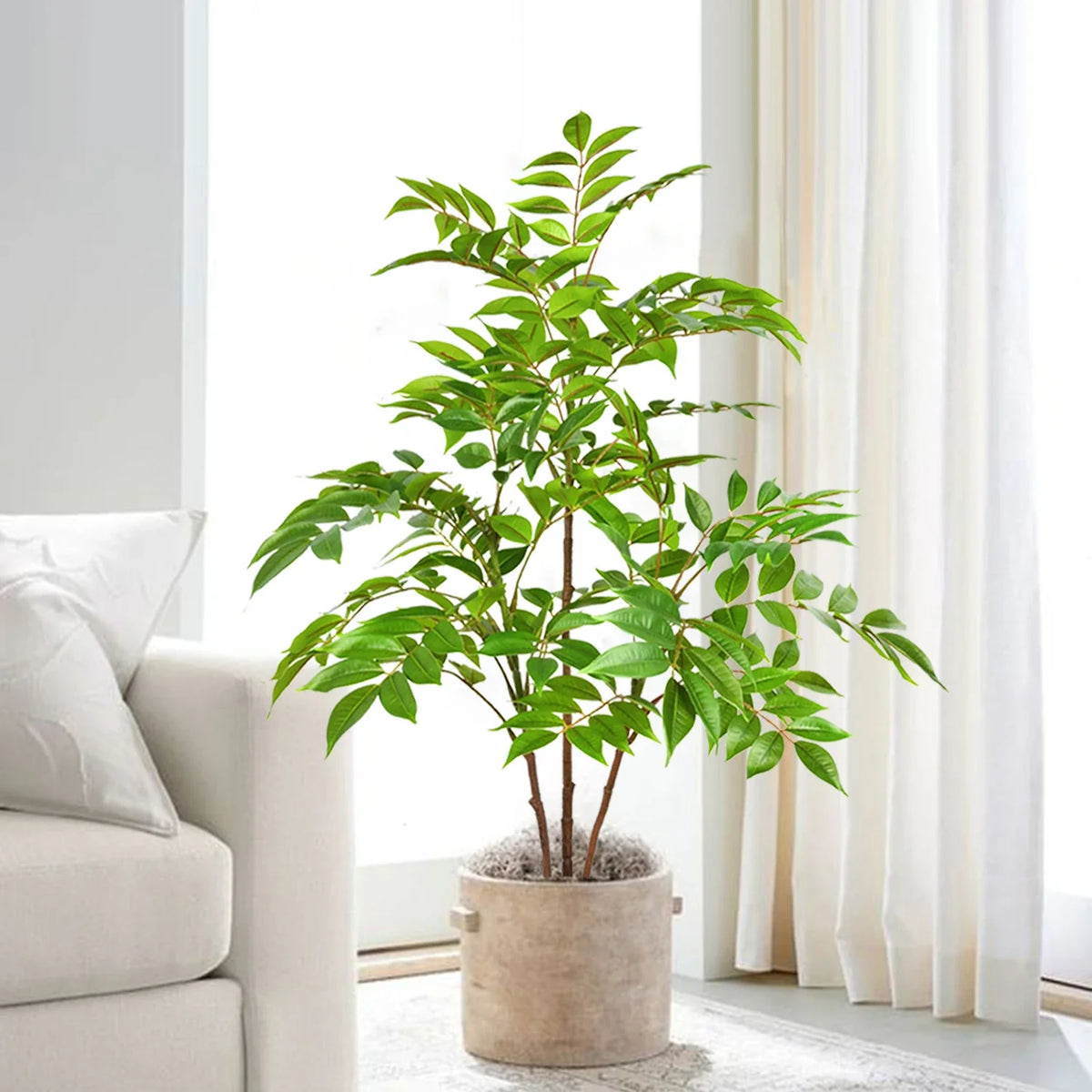Artificial ficus plant in plastic for indoor decoration