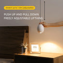 Aisilan adjustable pendant metal spotlight CRI 97