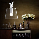 Modern decorative glass chandelier duck bird style