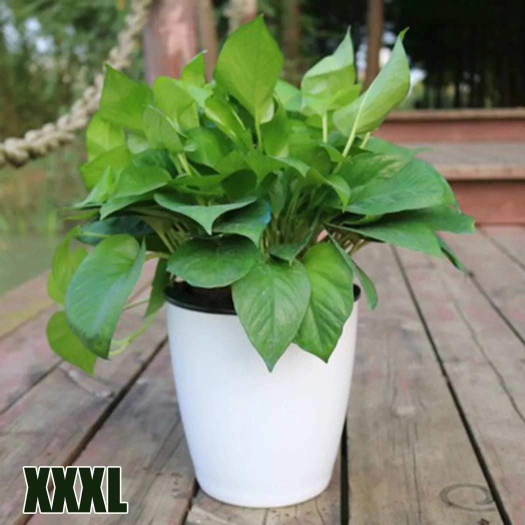 Automatic plastic plant pot with porcelain effect - vue 8 sur 12