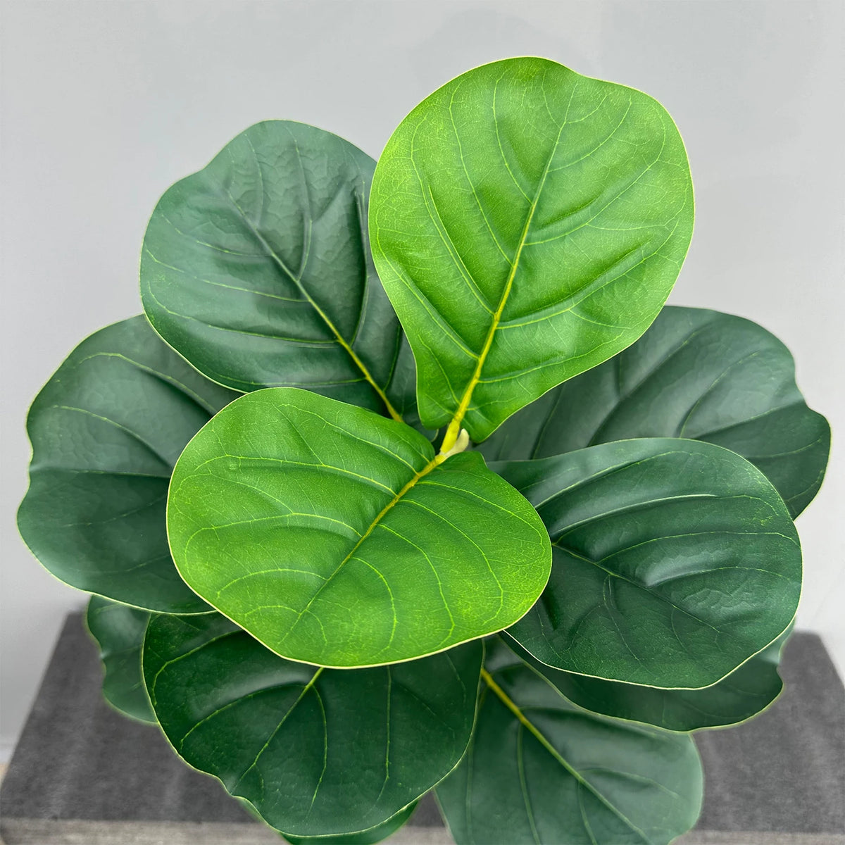 Realistic artificial plant for interior decor and events - vue 6 sur 16