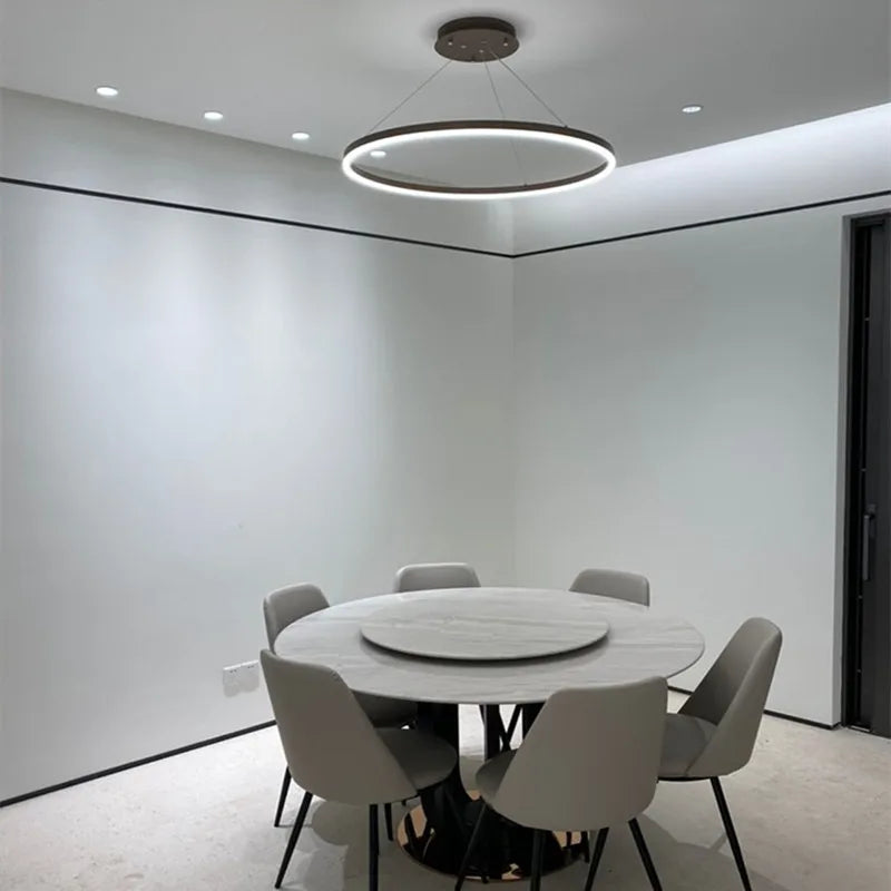 Minimalist Nordic round ring LED pendant lamps - vue 6 sur 9