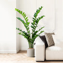 Artificial ficus and zamioculcas plants for indoor decoration