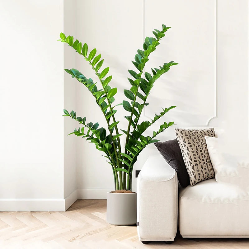 Artificial ficus and zamioculcas plants for indoor decoration - vue 3 sur 14
