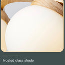 Modern wood and glass pendant light for interiors 2024