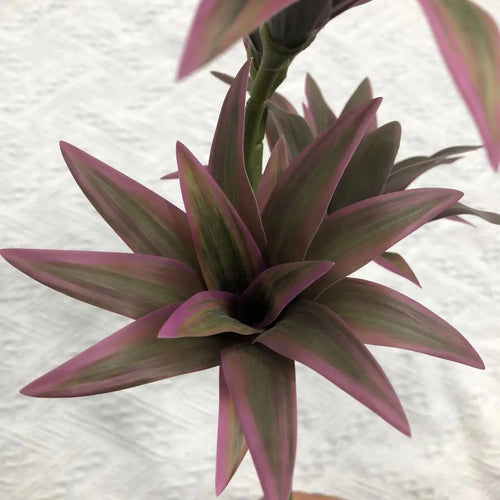 Tropical potted plant with decorative palm and bamboo - vue 7 sur 18