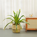 Artificial cymbidium plants for indoor and outdoor garden decor