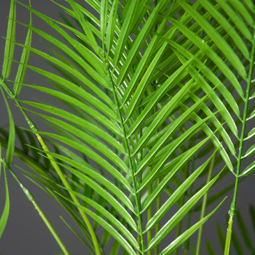 Large artificial tropical plant for indoor and outdoor decoration - vue 6 sur 8