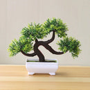 Decorative artificial bonsai plants for weddings and Halloween
