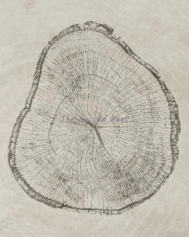 art abstrait sur anneaux d'arbres pour décoration intérieure