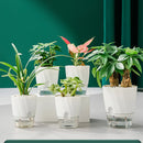 automatic flower pot for hydroponic indoor plants