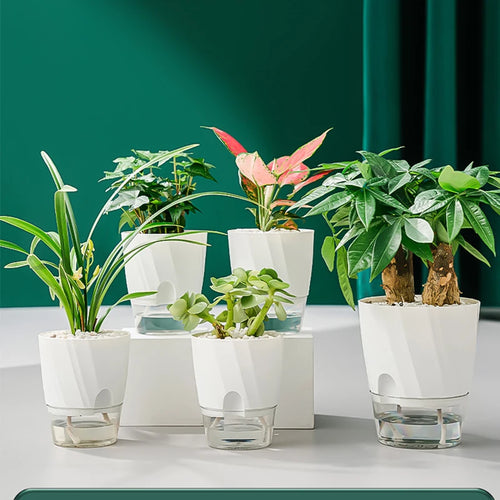 automatic flower pot for hydroponic indoor plants - vue 6 sur 6