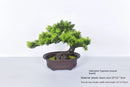 Artificial bonsai plant in plastic for interior decoration